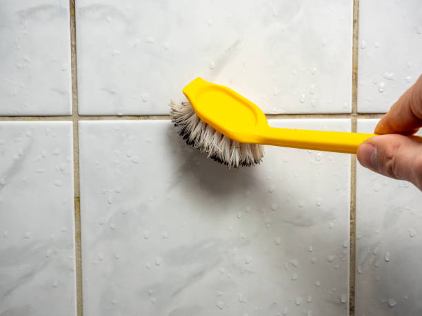 Best Kitchen Mold Remediation in Lawrenceburg, KY
