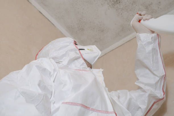 Best HVAC Mold Remediation in Lawrenceburg, KY